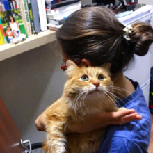 Ирина Борисова