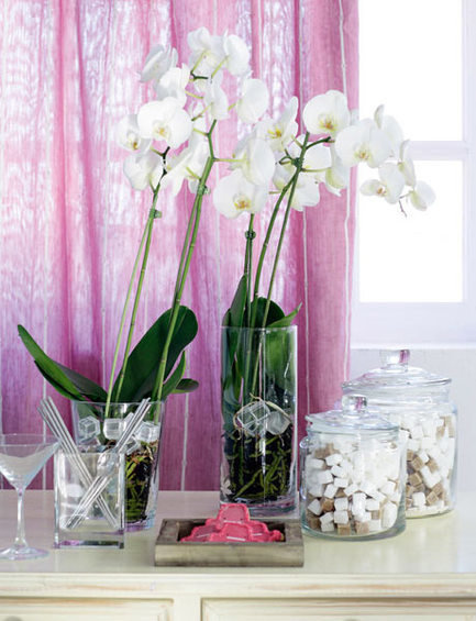 Фотография: Флористика в стиле , Стиль жизни – фото на INMYROOM