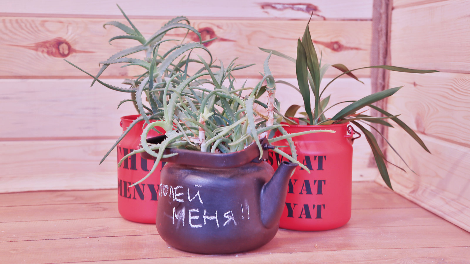 Фото из портфолио Постройка гостевого домика для тв-шоу "Дача" – фотографии дизайна интерьеров на INMYROOM Фото из портфолио Постройка гостевого домика для тв-шоу "Дача" – фотографии дизайна интерьеров на INMYROOM