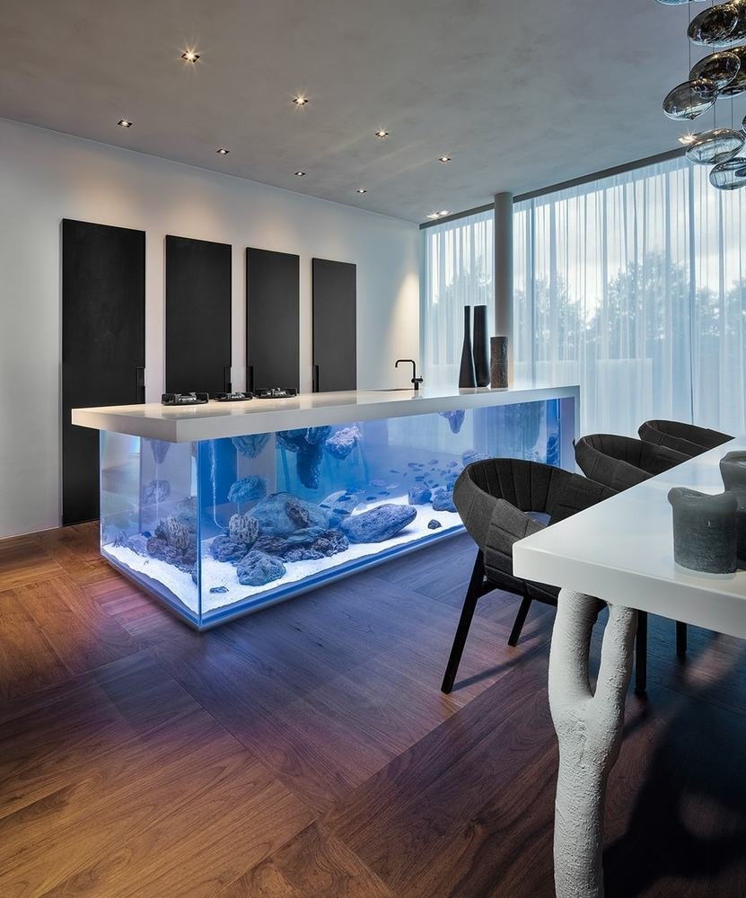 Фотография: в стиле , Советы – фото на INMYROOM