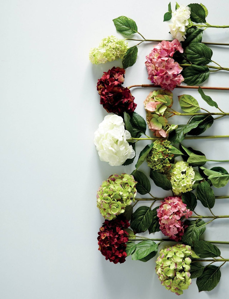 Фотография: в стиле , Ландшафт, Флористика, Гид – фото на INMYROOM