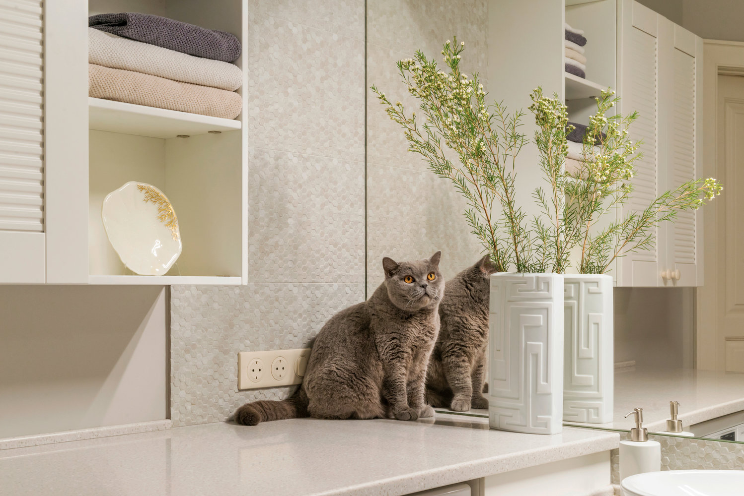 Фотография: Ванная в стиле Современный, Квартира, Проект недели, Москва, Студия 3.14, Ирина Леготкина, Сталинка, 4 и больше, Более 90 метров – фото на INMYROOM