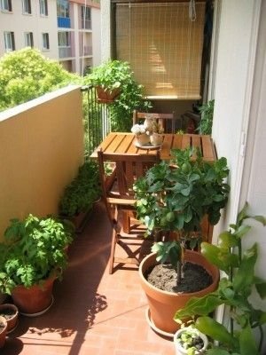 Фотография: Балкон в стиле Современный, Прованс и Кантри, Квартира, Декор, Советы, как обустроить открытый балкон, городской балкон, открытый балкон, идеи для открытого балкона – фото на INMYROOM