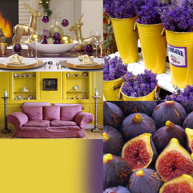 Фото из портфолио Фиолетовый цвет – фотографии дизайна интерьеров на InMyRoom.ru