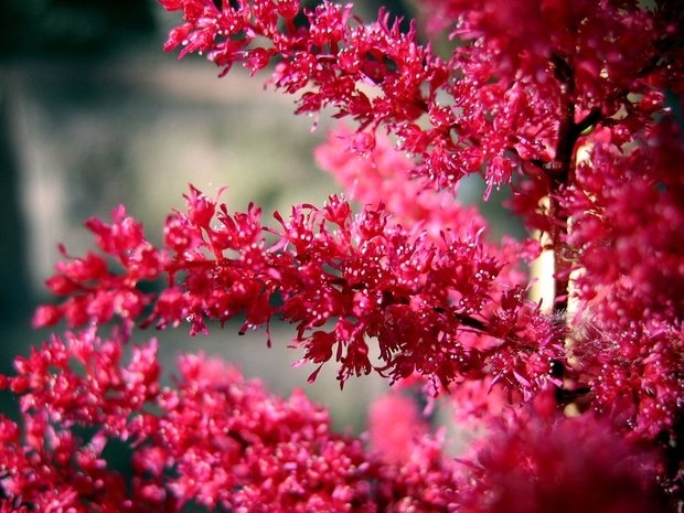 Фото из портфолио фото – фотографии дизайна интерьеров на INMYROOM