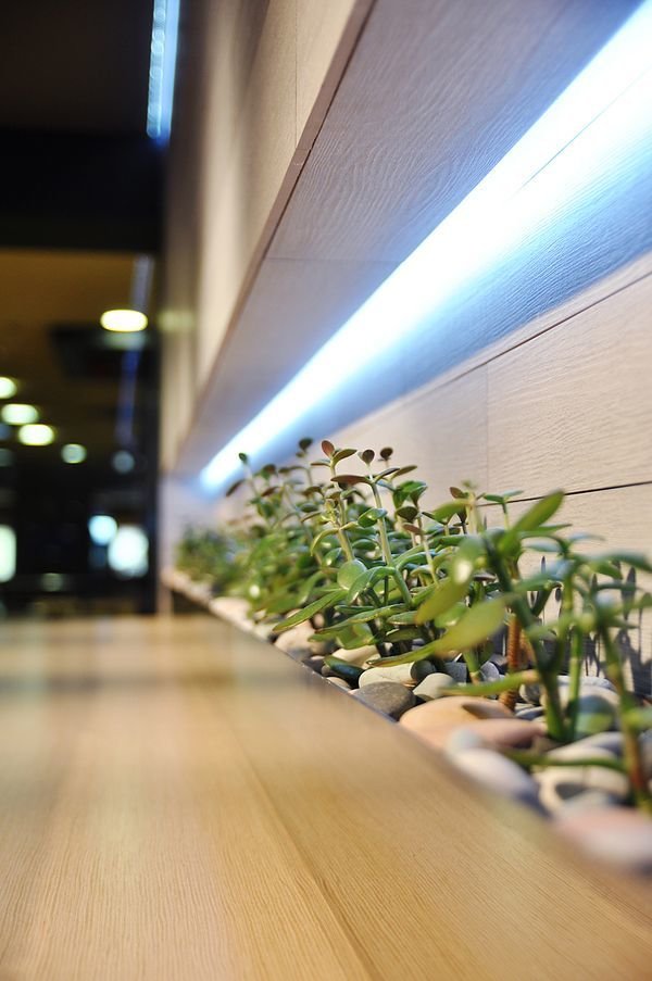 Фотография: Декор в стиле Современный, Эклектика, Эко, Декор интерьера, Мебель и свет, освещение – фото на INMYROOM