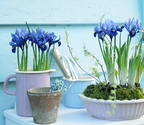 Фотография: Флористика в стиле  – фото на INMYROOM