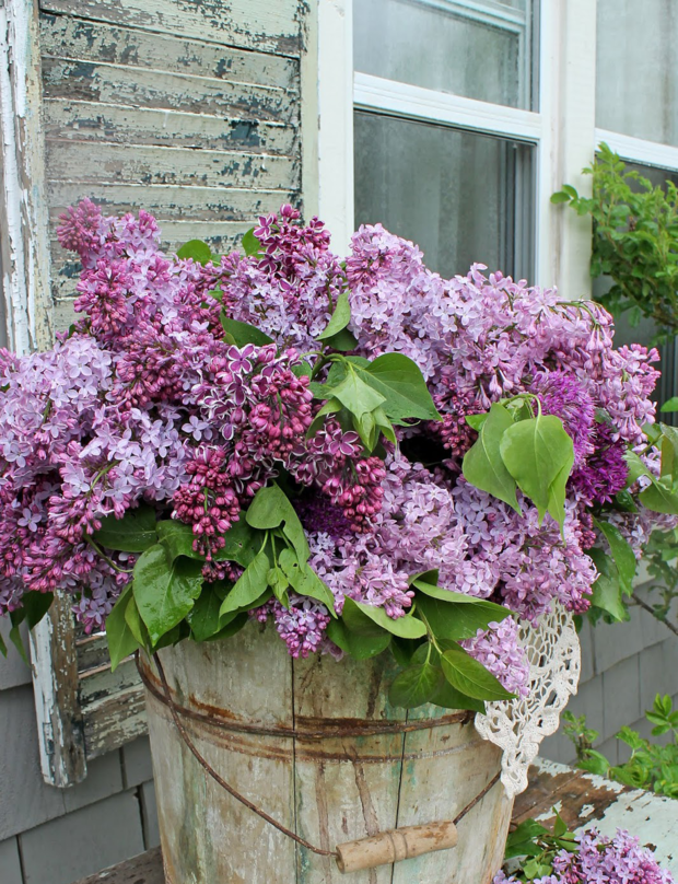 Фотография: Флористика в стиле , Советы, неизвестные факты, пионы, плетистые розы, сирень, удивительные факты – фото на INMYROOM