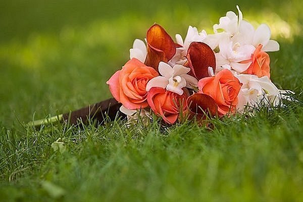 Фото из портфолио Мои избранные статьи – фотографии дизайна интерьеров на INMYROOM