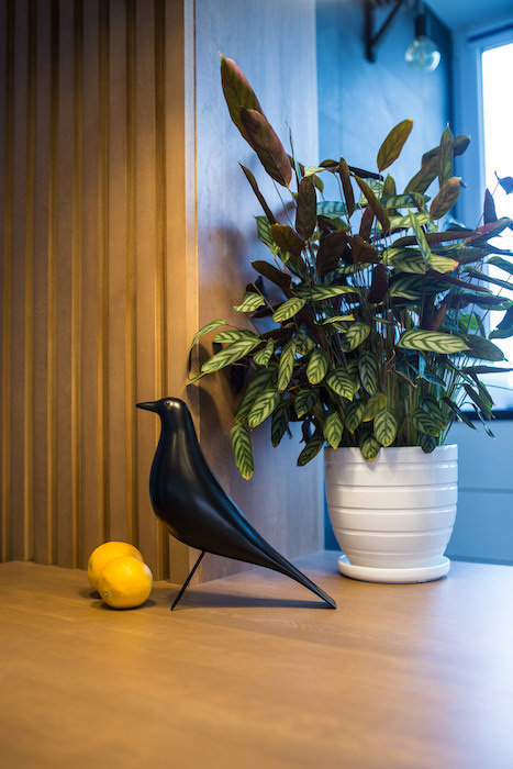 Фотография: Декор в стиле Современный, Квартира, Проект недели, Черный, Желтый, Серый, Голубой, Коричневый, Беларусь, Минск, 1 комната, 40-60 метров, Женя Лыкасова – фото на INMYROOM