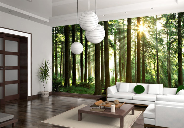 Фотография: Гостиная в стиле Восточный, Советы, фотообои в интерьере – фото на INMYROOM