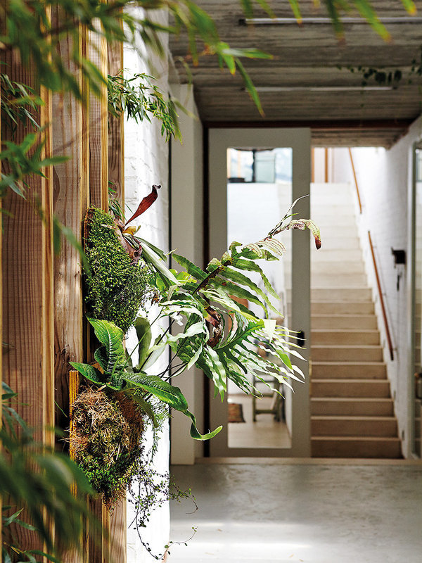 Фото из портфолио Южноафриканские мотивы – фотографии дизайна интерьеров на INMYROOM