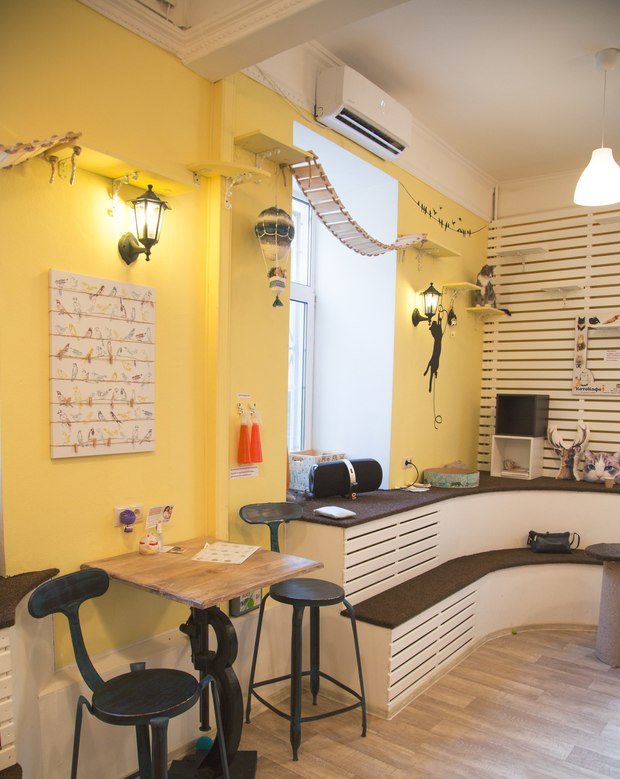 Фото из портфолио Котофейня  – фотографии дизайна интерьеров на INMYROOM