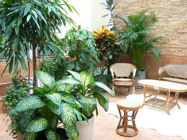 Фотография: Терраса в стиле Современный, Флористика – фото на INMYROOM