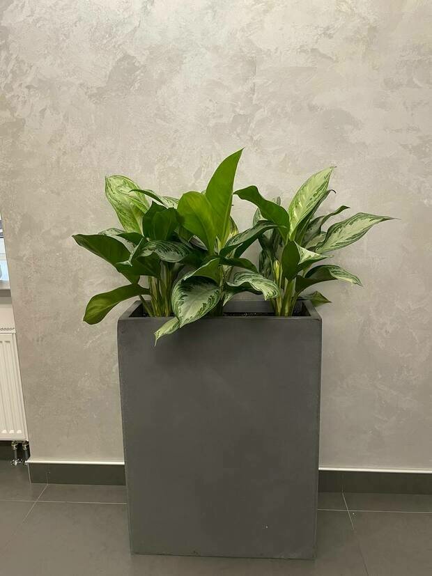 Фото из портфолио АО Банк Россия г. Санкт-Петербург – фотографии дизайна интерьеров на INMYROOM