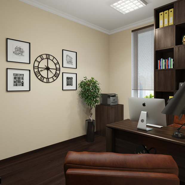 Фото из портфолио Оформление кабинета – фотографии дизайна интерьеров на INMYROOM