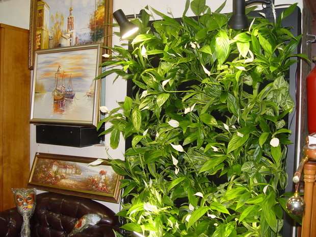 Фото из портфолио Фото – фотографии дизайна интерьеров на INMYROOM