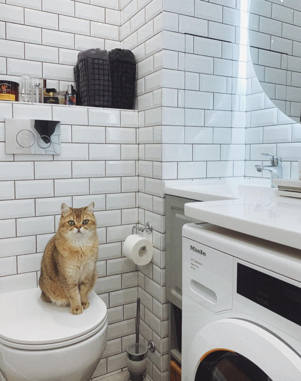 Фотография: Ванная в стиле Скандинавский, Ремонт на практике – фото на INMYROOM