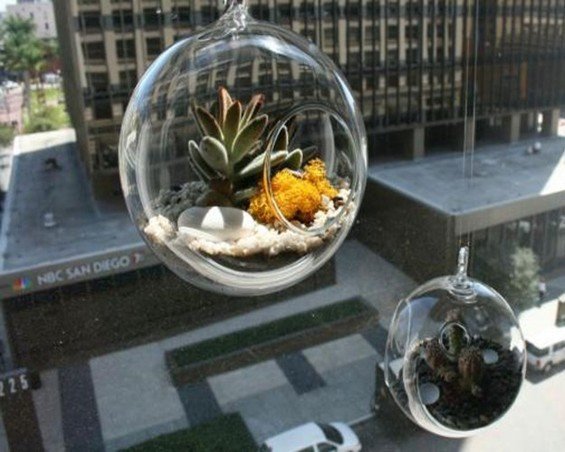 Фотография: Флористика в стиле , Балкон, Стиль жизни – фото на INMYROOM