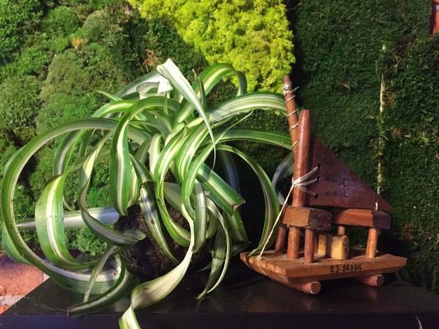 Фото из портфолио Композиции из растений – фотографии дизайна интерьеров на INMYROOM