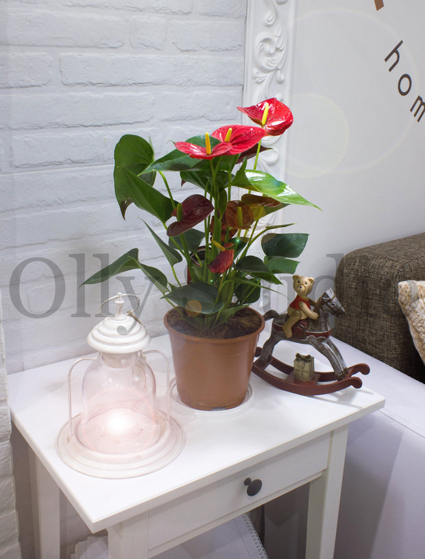 Фото из портфолио Частная Кондитерская – фотографии дизайна интерьеров на INMYROOM
