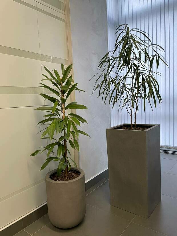 Фото из портфолио АО Банк Россия г. Санкт-Петербург – фотографии дизайна интерьеров на INMYROOM