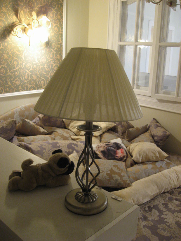 Фото из портфолио "Мопсомания" – фотографии дизайна интерьеров на INMYROOM