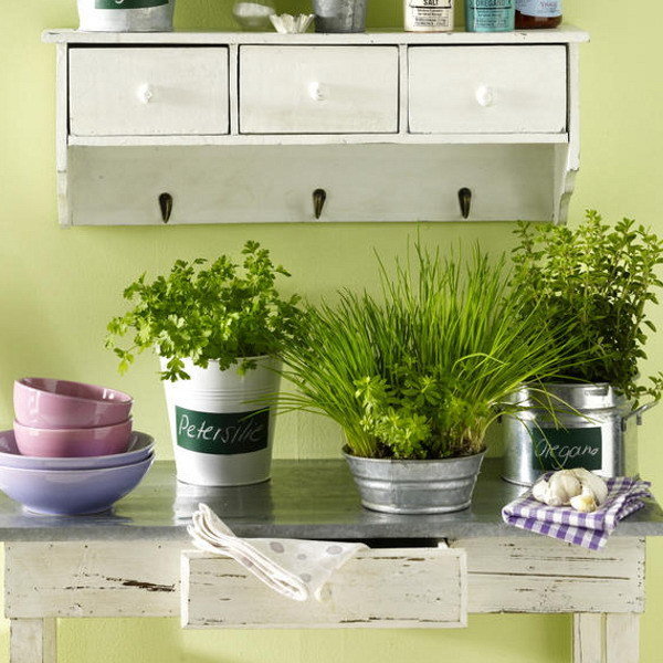 Фотография: Флористика в стиле , Классический, Скандинавский, Современный, Эклектика, Декор интерьера, Дизайн интерьера, Советы, Минимализм, Зеленый, Эко, растения в интерьере, озеленение, флористика – фото на INMYROOM