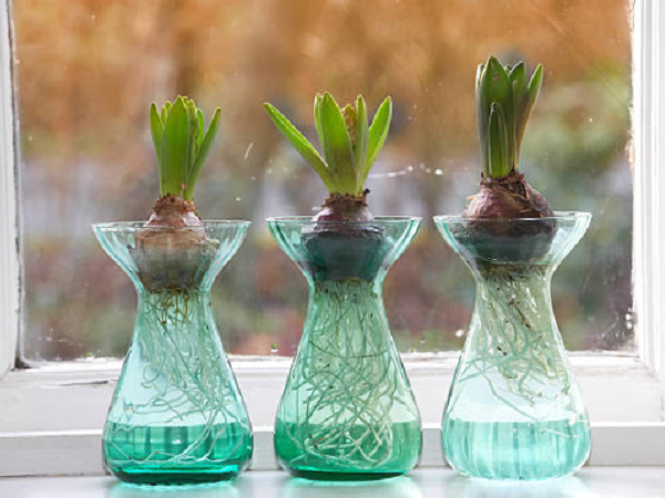 Фотография: Кабинет в стиле Современный, Советы – фото на INMYROOM