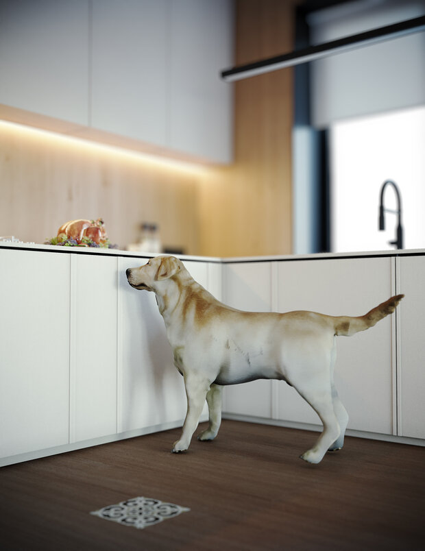 Фото из портфолио kitchen dining room – фотографии дизайна интерьеров на INMYROOM