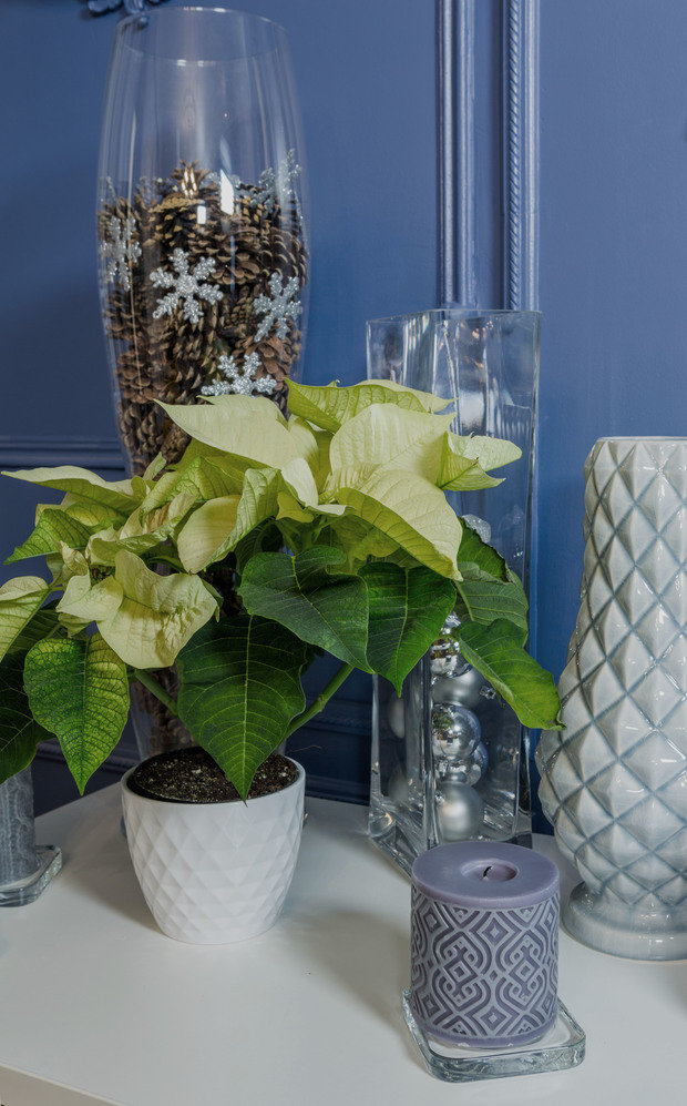 Фото из портфолио "Спальня в синих тонах" для программы "Фазенда" – фотографии дизайна интерьеров на INMYROOM