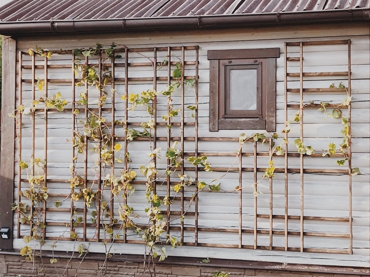 Фотография: в стиле , Дом и дача, идеи для сада и огорода, интерьер дачи, обновить дачу, авито – фото на INMYROOM Фотография: в стиле , Дом и дача, идеи для сада и огорода, интерьер дачи, обновить дачу, авито – фото на INMYROOM