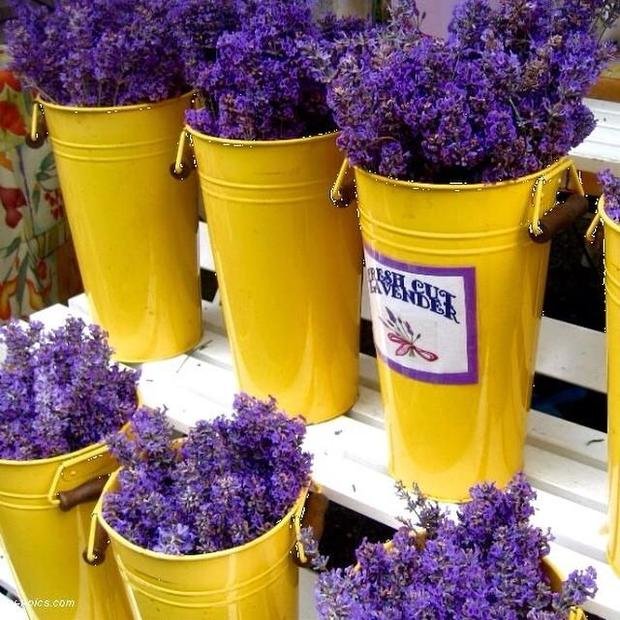 Фото из портфолио Фиолетовый цвет – фотографии дизайна интерьеров на InMyRoom.ru