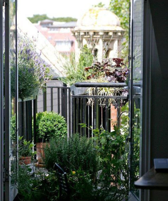 Фотография: Балкон в стиле Эко, Ландшафт, Терраса, Советы, Мария Шумская, огород на балконе, растения для южного балкона, растения для затененного балкона, растения на высоких этажах, как выбрать растения для балкона – фото на INMYROOM