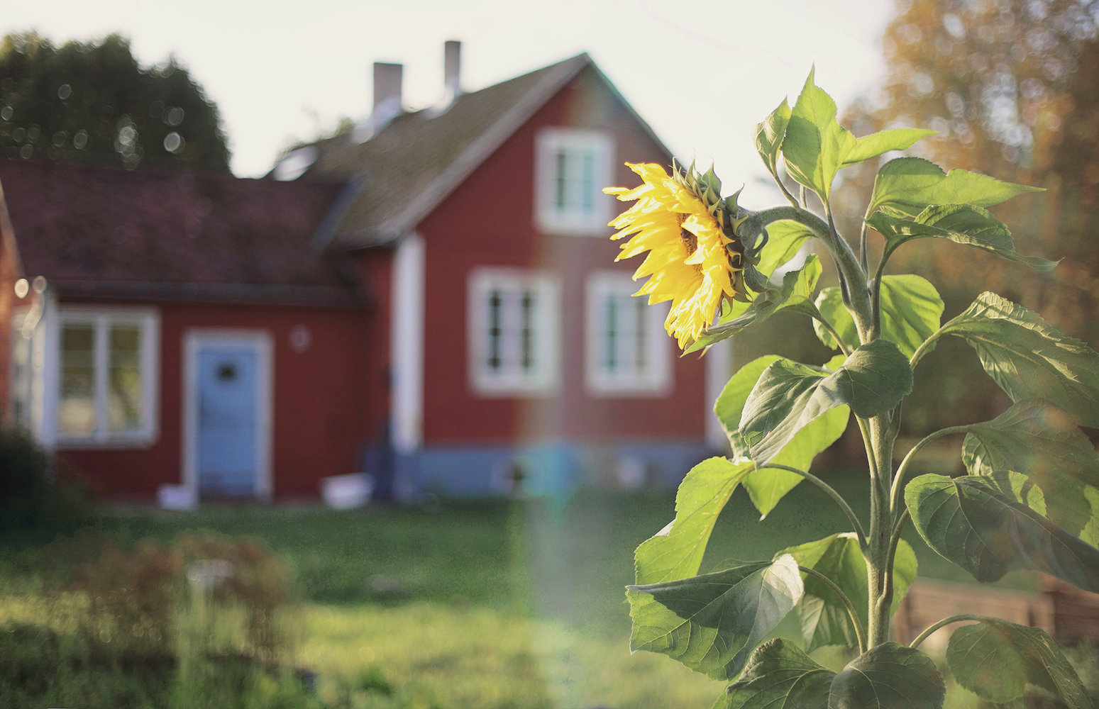 Фотография: в стиле , Декор интерьера, Дом, Швеция, Дача, Розовый, как оформить летний дом – фото на INMYROOM Фотография: в стиле , Декор интерьера, Дом, Швеция, Дача, Розовый, как оформить летний дом – фото на INMYROOM