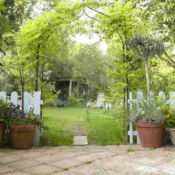 Фотография: Ландшафт в стиле Современный – фото на INMYROOM