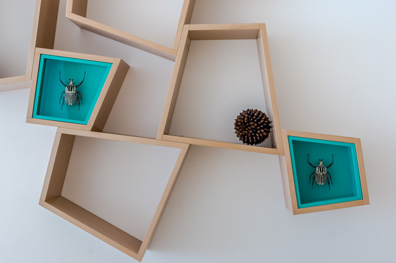 Фотография: Декор в стиле Современный, Гостиная, Декор интерьера, Интерьер комнат, Тема месяца – фото на INMYROOM Фотография: Декор в стиле Современный, Гостиная, Декор интерьера, Интерьер комнат, Тема месяца – фото на INMYROOM