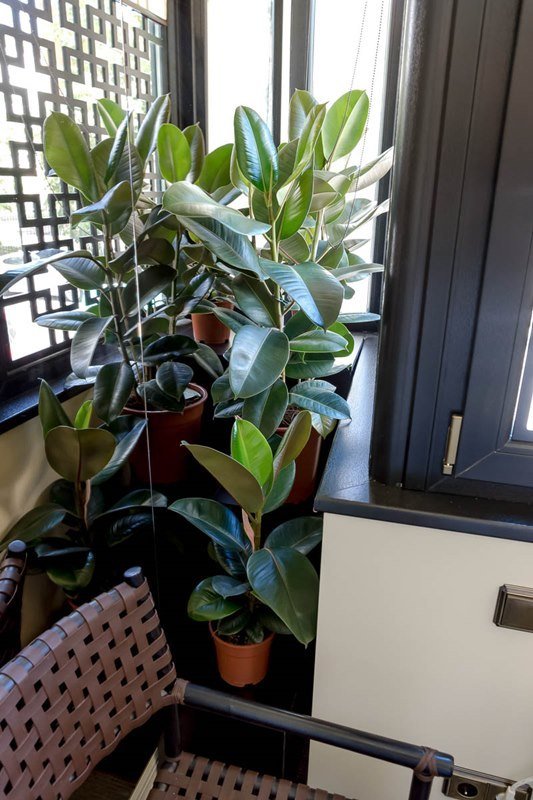 Фотография: в стиле Современный, Восточный, Спальня, Декор интерьера, Интерьер комнат, Баухауз – фото на INMYROOM Фотография: в стиле Современный, Восточный, Спальня, Декор интерьера, Интерьер комнат, Баухауз – фото на INMYROOM