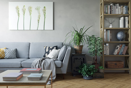 OLMO Flat-Taganka