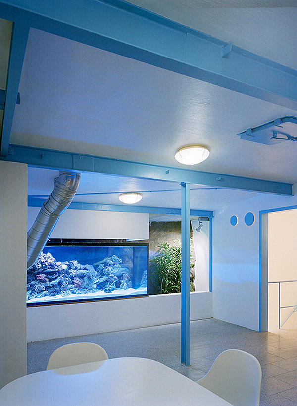 Фотография: в стиле Современный, Декор интерьера, Офисное пространство, Офис, Дома и квартиры – фото на INMYROOM Фотография: в стиле Современный, Декор интерьера, Офисное пространство, Офис, Дома и квартиры – фото на INMYROOM