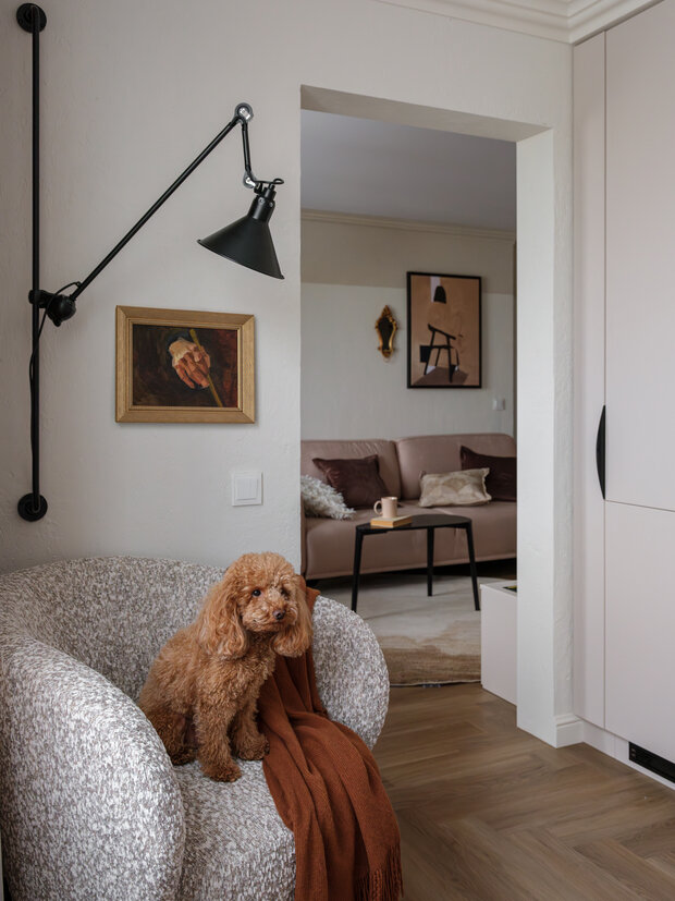 Фотография: Кухня и столовая в стиле Современный, Квартира, Проект дня, Москва, 2 комнаты, 40-60 метров, Сара Михайлова – фото на INMYROOM