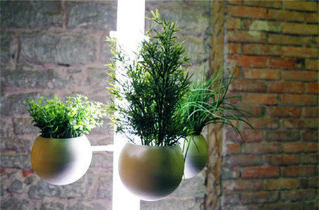 Фотография: Флористика в стиле , Балкон, Стиль жизни – фото на INMYROOM