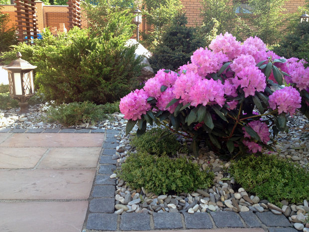 Фото из портфолио Избранные товары – фотографии дизайна интерьеров на INMYROOM