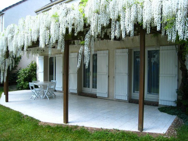 Фото из портфолио Вещи, которые я хочу – фотографии дизайна интерьеров на INMYROOM