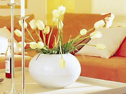 Фотография: Флористика в стиле , Гостиная, Интерьер комнат, Переделка, Ремонт – фото на INMYROOM