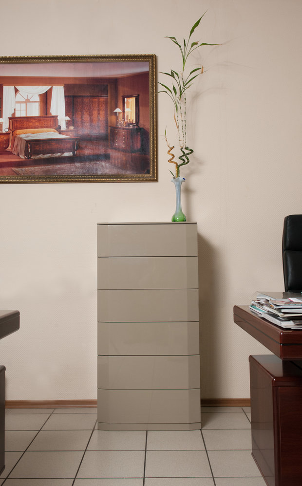 Фото из портфолио Наш небольшой шоу-рум – фотографии дизайна интерьеров на INMYROOM