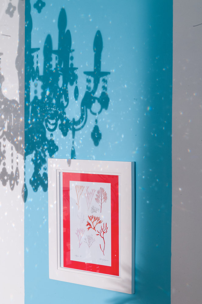 Фотография: Прочее в стиле , Квартира, Дома и квартиры – фото на INMYROOM Фотография: Прочее в стиле , Квартира, Дома и квартиры – фото на INMYROOM