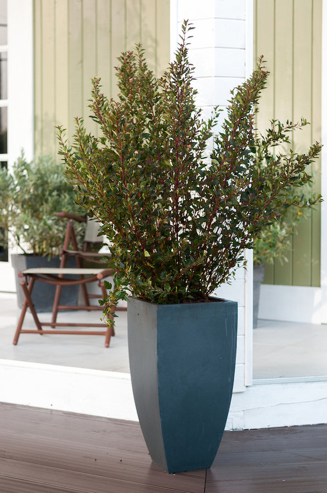 Фотография: Мебель и свет в стиле Прованс и Кантри, Дом, Дома и квартиры, dom-iz-brusa – фото на INMYROOM Фотография: Мебель и свет в стиле Прованс и Кантри, Дом, Дома и квартиры, dom-iz-brusa – фото на INMYROOM