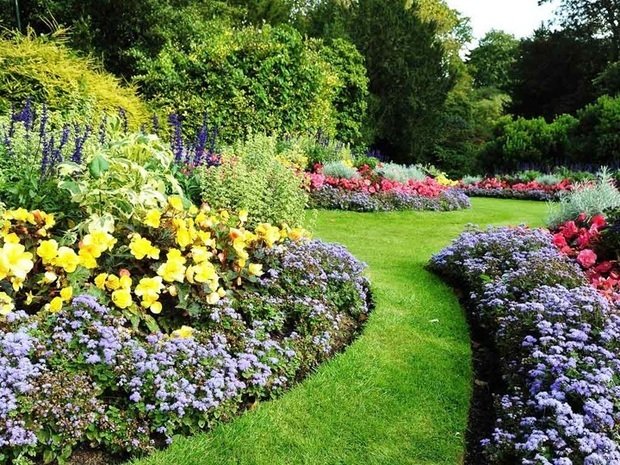 Фотография: Ландшафт в стиле , Советы – фото на INMYROOM