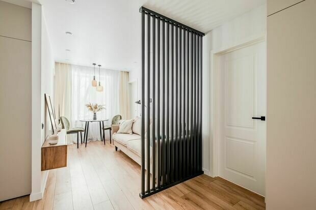 Фотография: Прихожая в стиле Современный, Минимализм, Проект дня, Блочный дом, 3 комнаты, 40-60 метров, Москав, II 29-3 – фото на INMYROOM